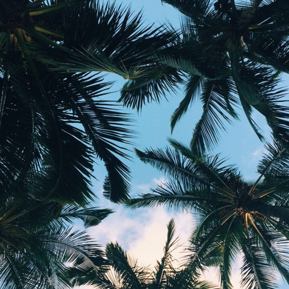 Meet your Posher, Rose